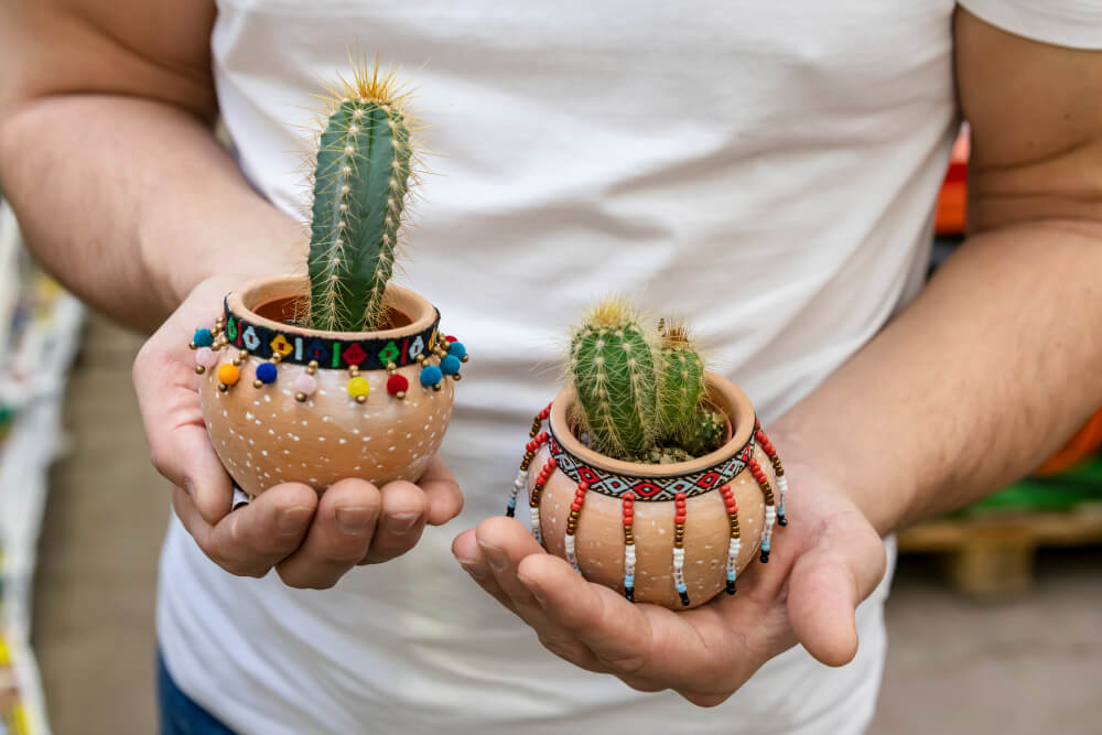 Cinco de Mayo Party Ideas