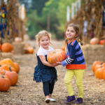 17 Fun & Festive Fall Festival Game Ideas Everyone Will Love
